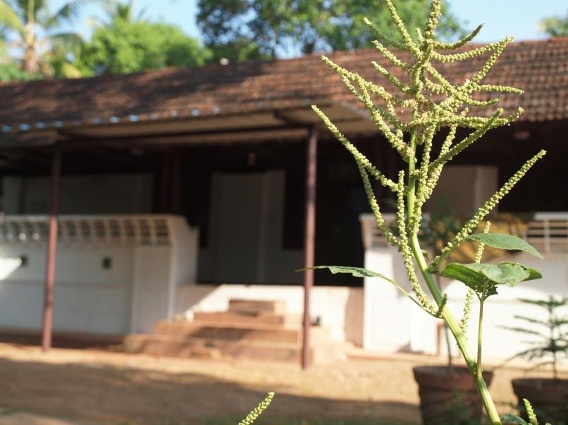 Chedi Spring Valley Hotel Athirappilly Luaran gambar